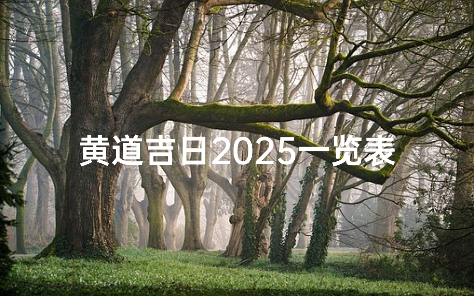 黄道吉日2025一览表_2010黄道吉日:吉祥时刻见证幸福时光