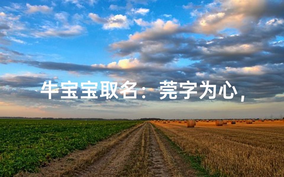 牛宝宝取名:莞字为心,寓意美好未来