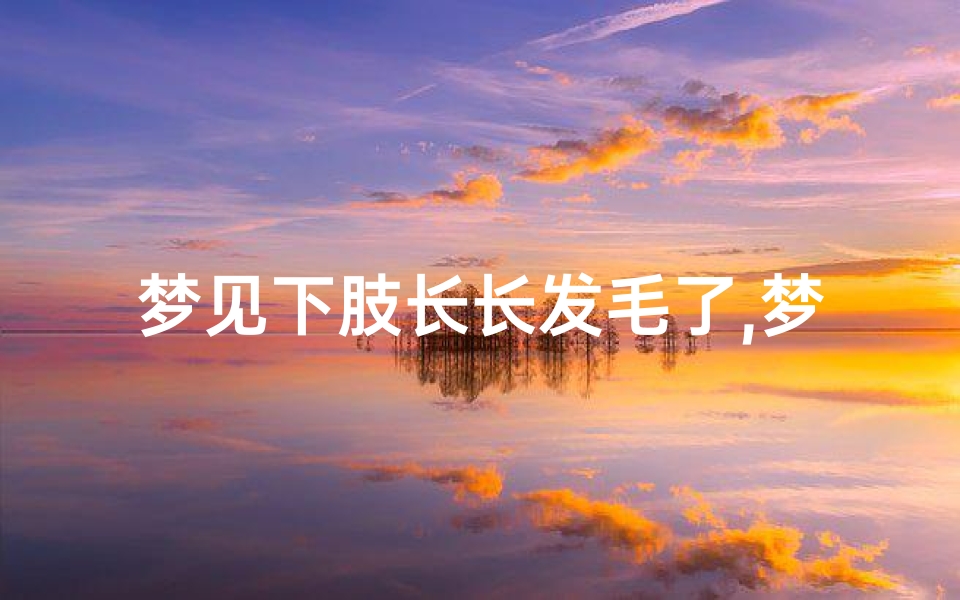 梦见下肢长长发毛了,梦见腿长毛发-海瑞算卦网