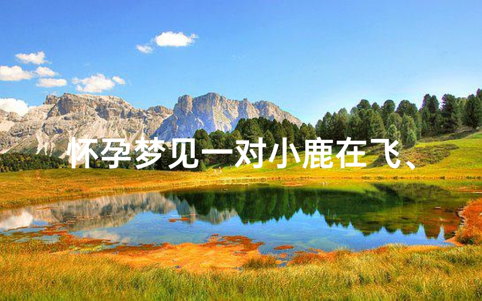 怀孕梦见一对小鹿在飞、孕晚期梦见小鹿