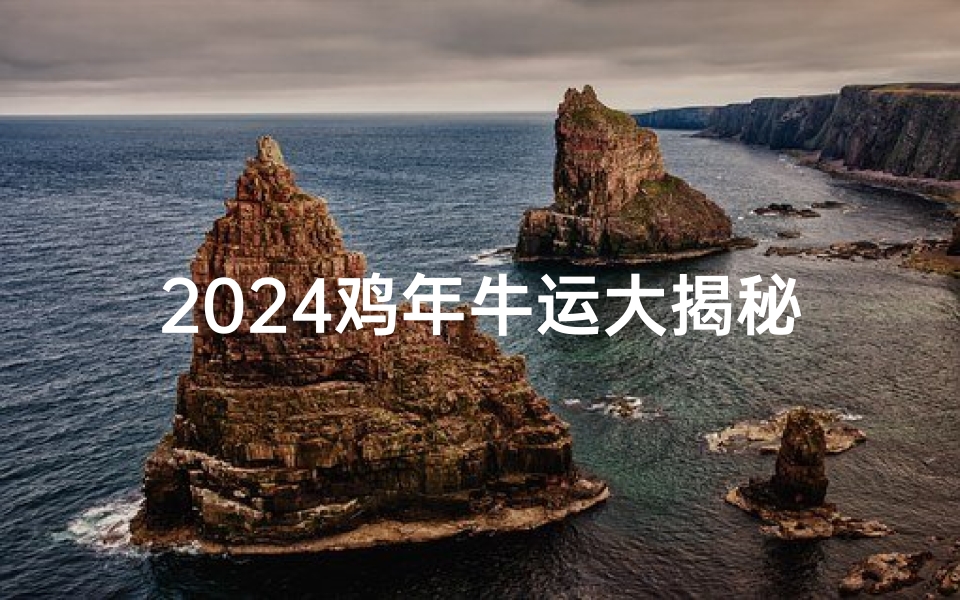 2024鸡年牛运大揭秘:运势如何?详解