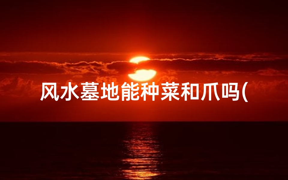 风水墓地能种菜和爪吗(风水墓地种菜与爪:奇观还是禁忌?)