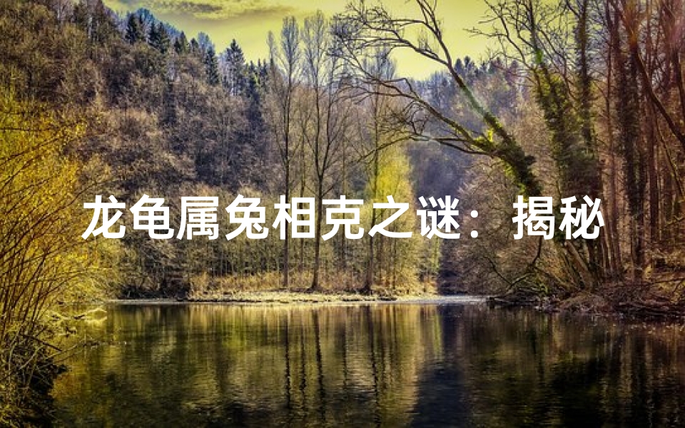 龙龟属兔相克之谜:揭秘生肖相克的真相