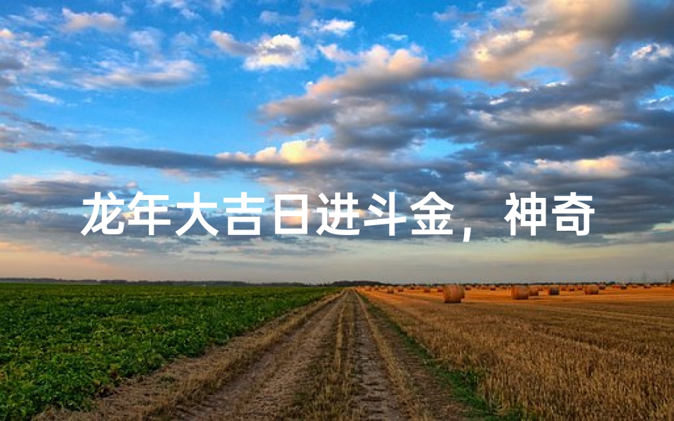 龙年大吉日进斗金,神奇道具助财运