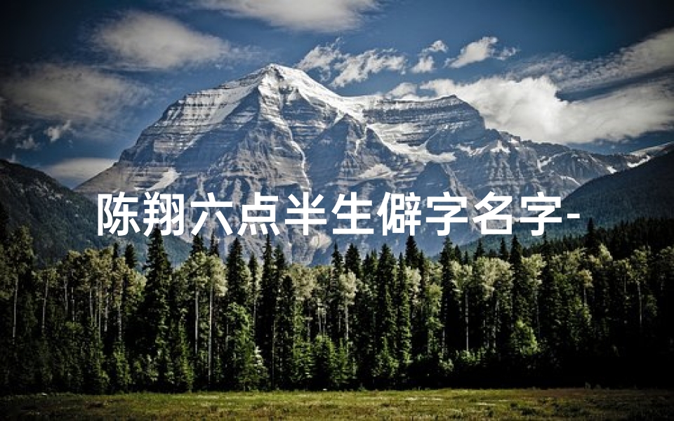 陈翔六点半生僻字名字-《陈翔六点半:小孩搞笑瞬间,笑翻全场》