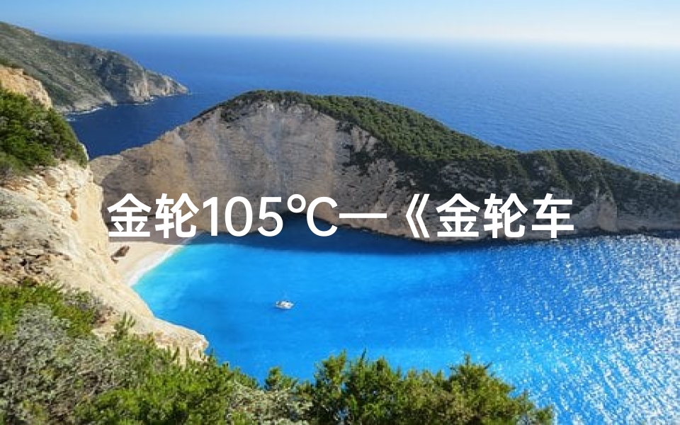 金轮105℃—《金轮车造葬吉凶速查秘籍》