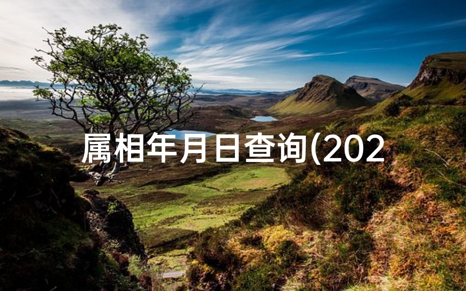 属相年月日查询(2022属相表年龄对照表,2022年每月属相)