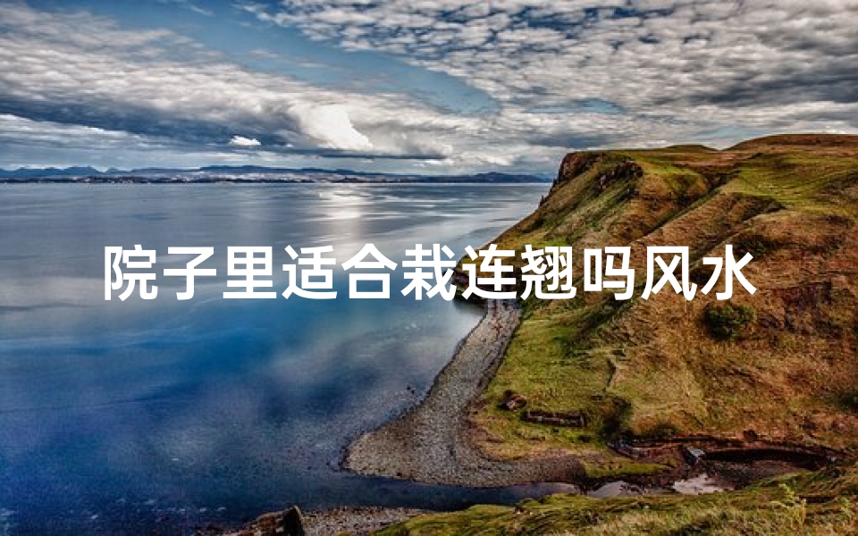 院子里适合栽连翘吗风水好吗;院子栽连翘风水宜忌解析