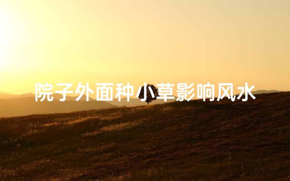 院子外面种小草影响风水吗