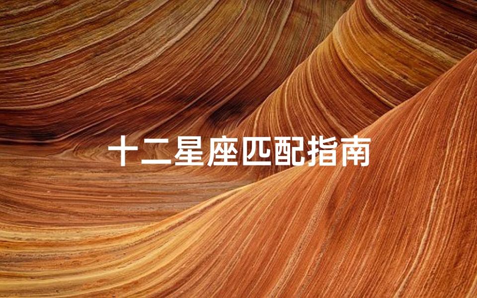 十二星座匹配指南