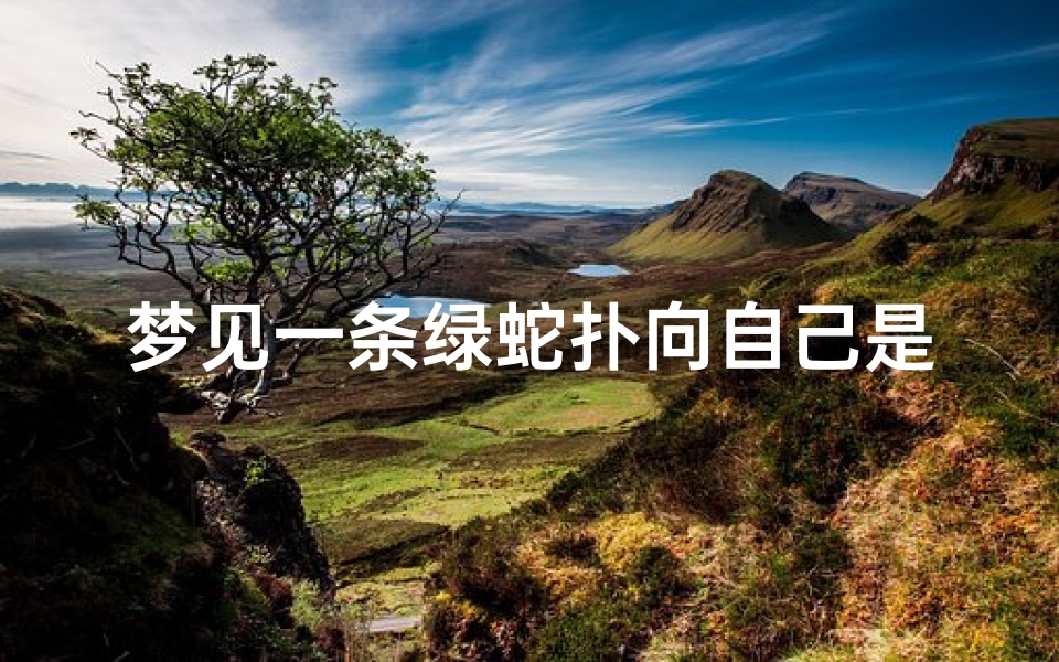 梦见一条绿蛇扑向自己是什么征兆、梦见一条绿蛇一直跟着我怎么都甩不掉