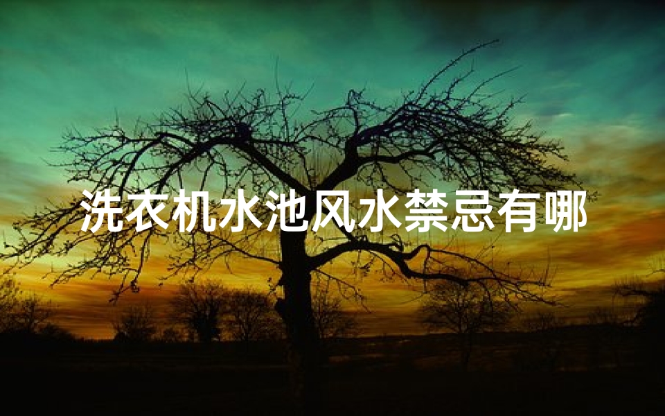 洗衣机水池风水禁忌有哪些(房子西南角放洗衣机好吗)