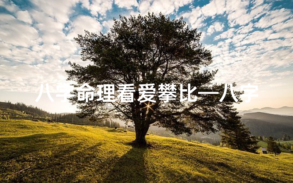 八字命理看爱攀比—八字揭秘:爱攀比背后的命运密码