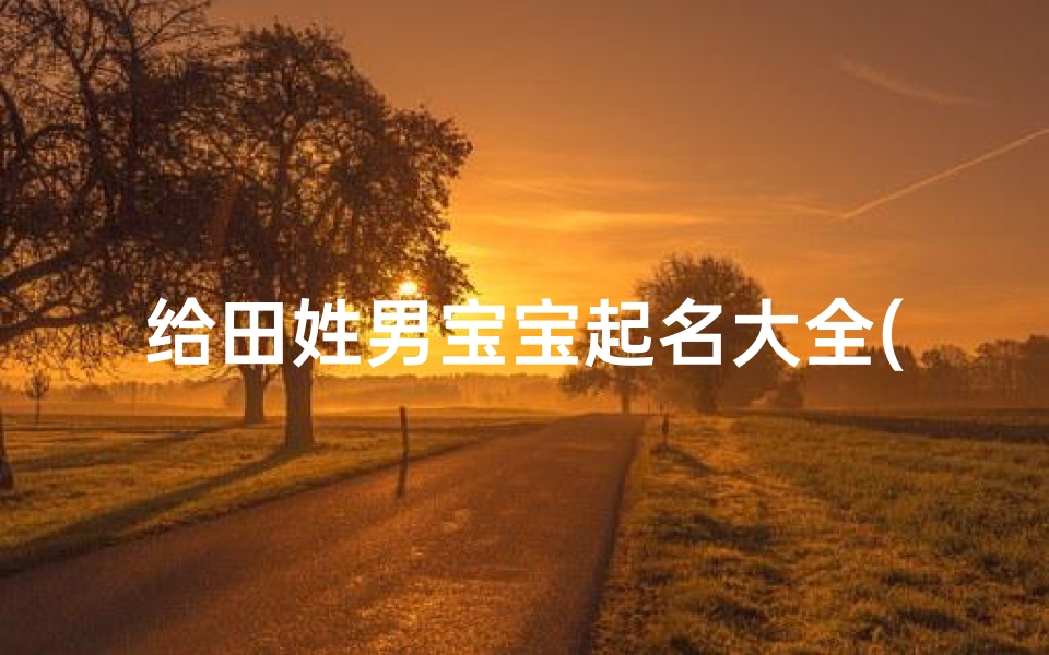 给田姓男宝宝起名大全(田姓男孩起名)