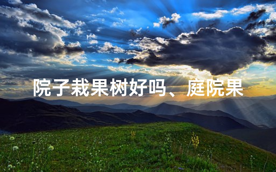 院子栽果树好吗、庭院果树风水布局:招财旺运的秘密之道