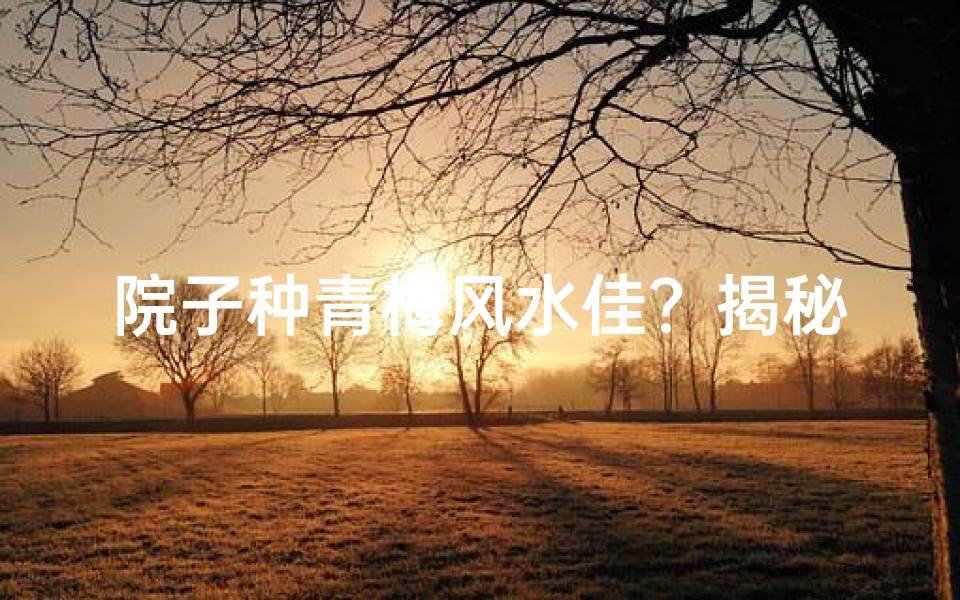 院子种青梅风水佳?揭秘庭院风水种植之道