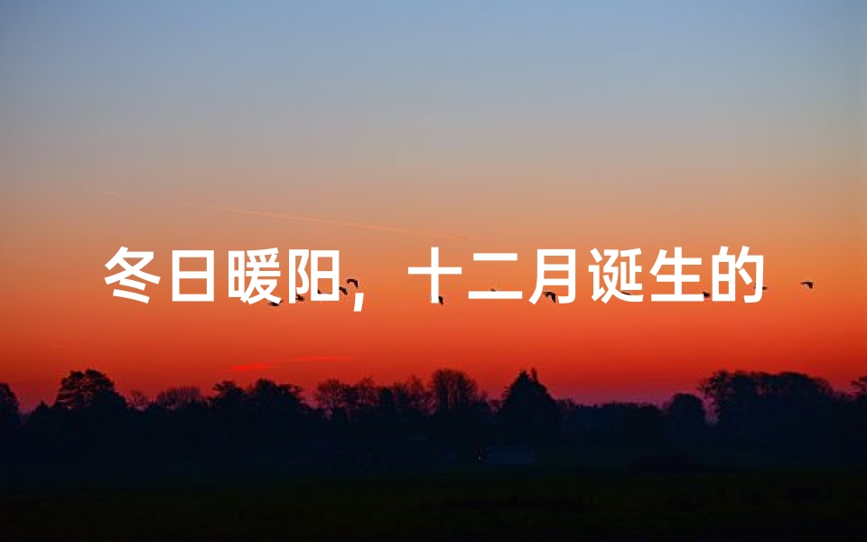 冬日暖阳,十二月诞生的天使宝宝,美名待揭晓
