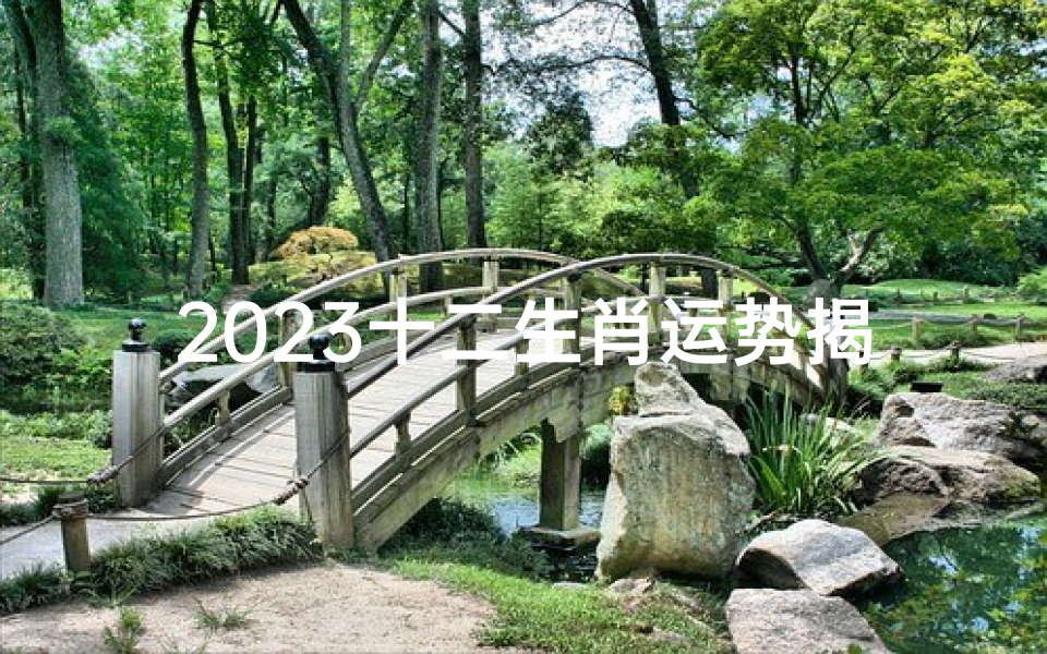2023十二生肖运势揭秘：运势起伏大揭秘