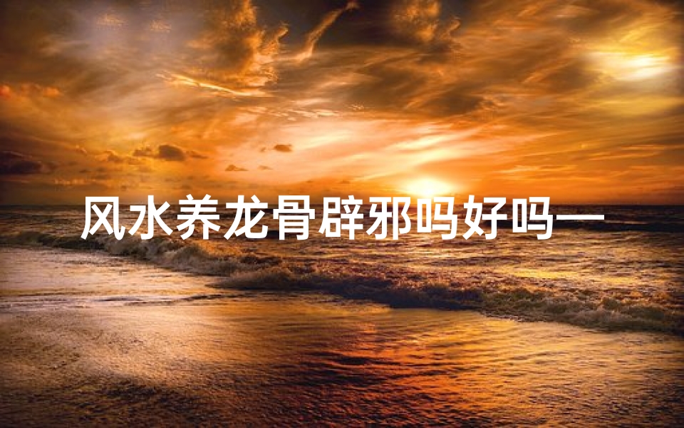 风水养龙骨辟邪吗好吗—风水养龙骨,辟邪护家宅秘法大揭秘
