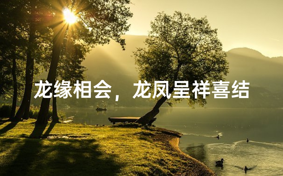 龙缘相会,龙凤呈祥喜结良缘