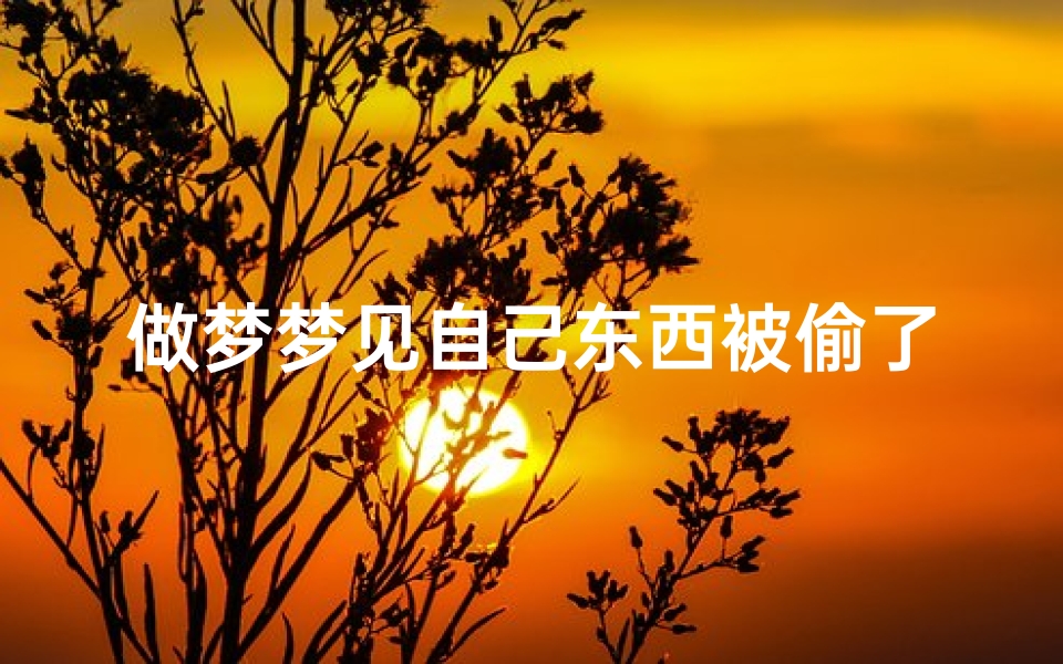 做梦梦见自己东西被偷了的预示-梦到自己的东西被偷走是什么意思