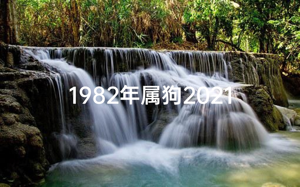 1982年属狗2021年感情运势—82年属狗感情运势:红鸾星动,幸福降临