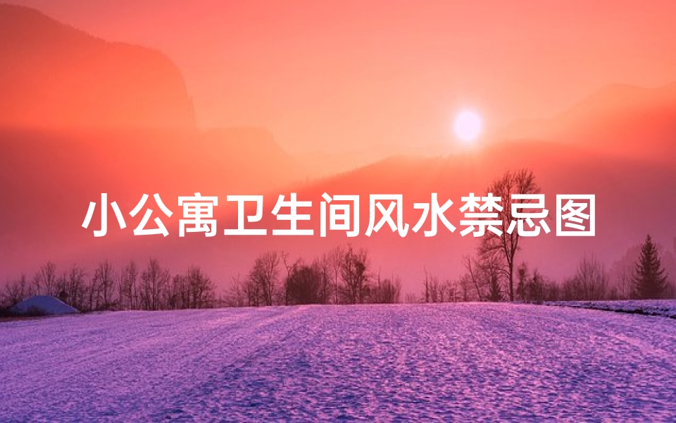 小公寓卫生间风水禁忌图片(小房子的风水禁忌,这样布置越住越富 )