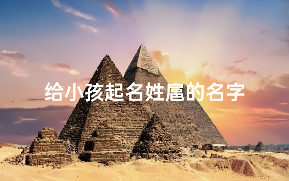 给小孩起名姓扈的名字