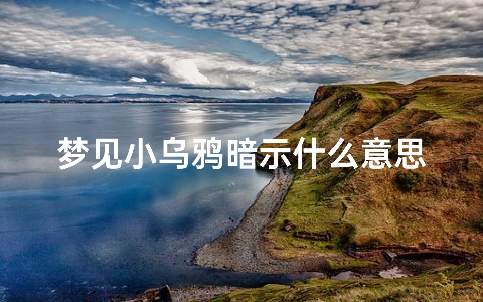 梦见小乌鸦暗示什么意思,梦见乌鸦崽子