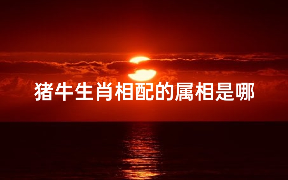 猪牛生肖相配的属相是哪个(属牛的和什么属相最配生肖牛的最佳配对属相)