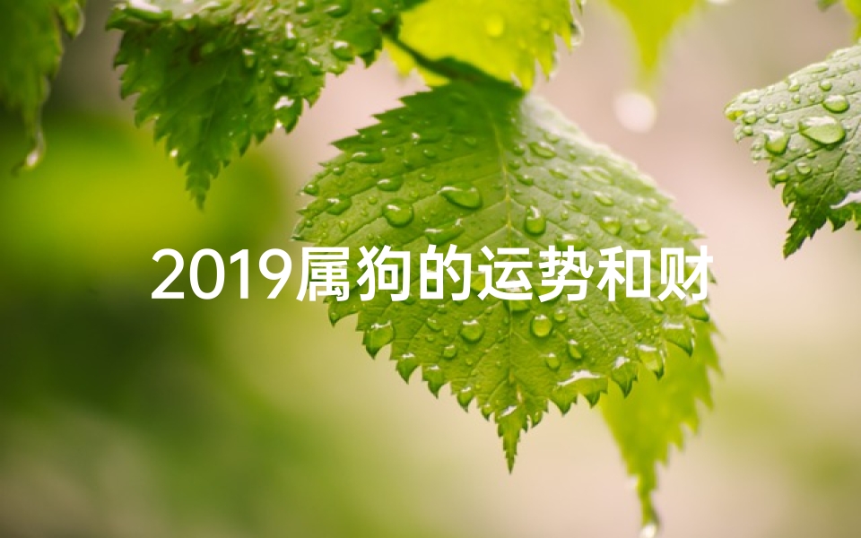 2019属狗的运势和财运_2019狗年运势揭秘:旺运指南大公开