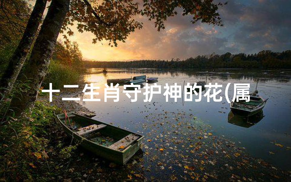十二生肖守护神的花(属相兔的人生肖守护神 文殊菩萨 和田玉资讯)