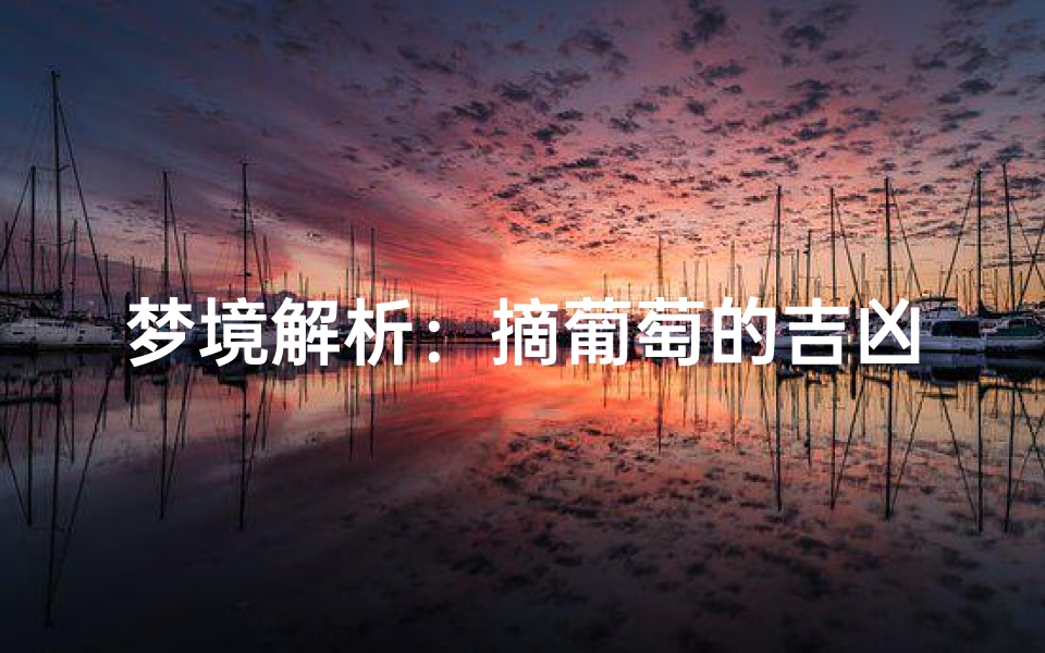 梦境解析:摘葡萄的吉凶预兆与周公解梦探秘