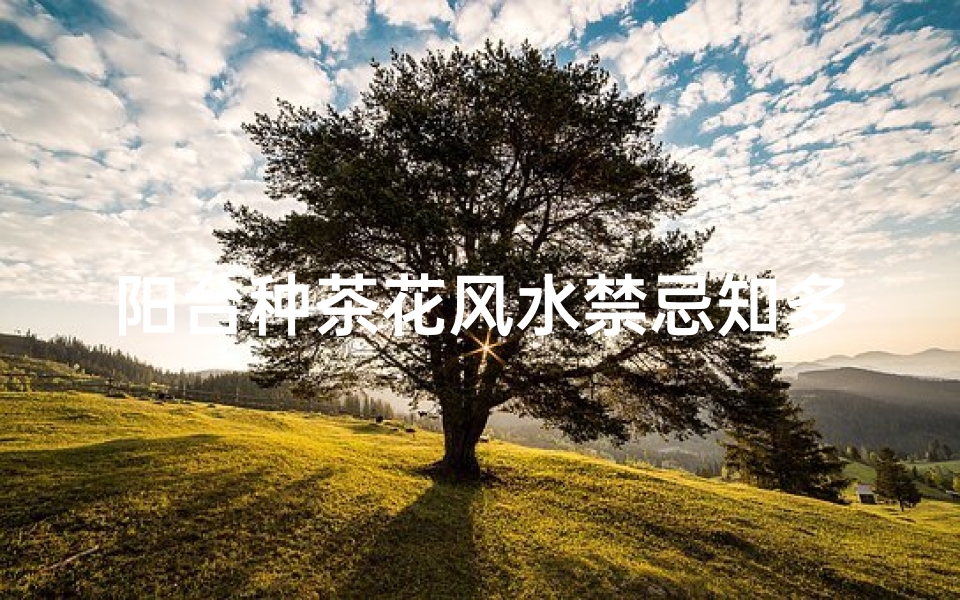 阳台种茶花风水禁忌知多少