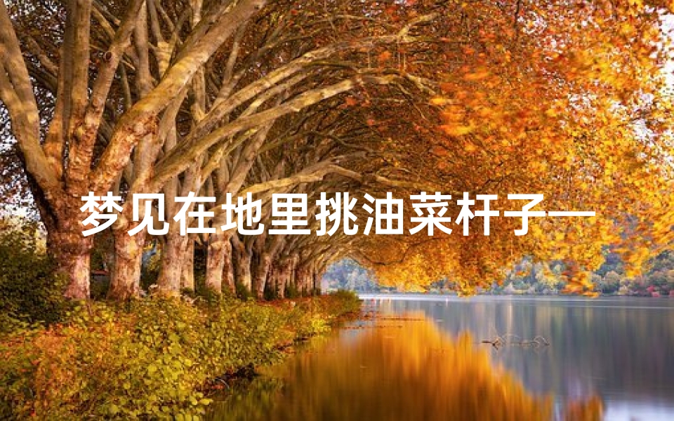 梦见在地里挑油菜杆子—梦见一堆油菜杆