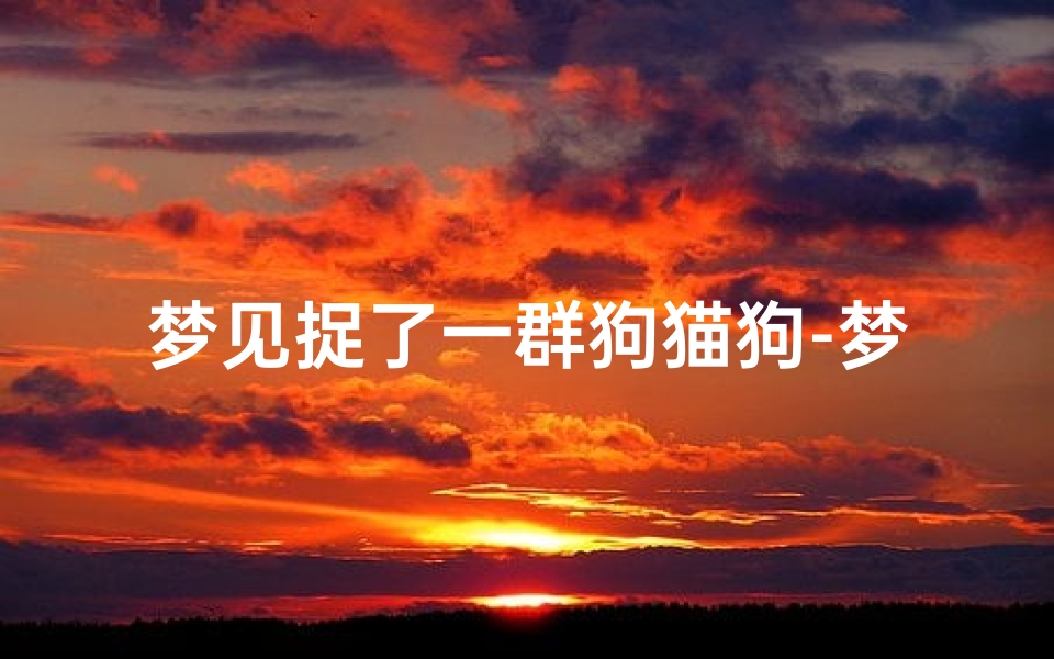 梦见捉了一群狗猫狗-梦见捉了一群狗猫狗狗