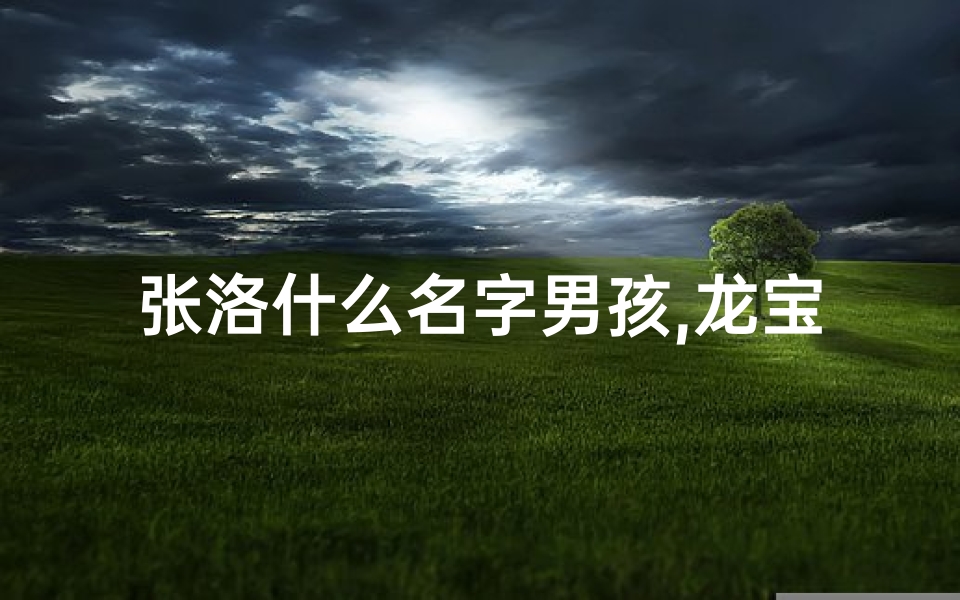 张洛什么名字男孩,龙宝宝取名张珞桐,好听吗?寓意深远好名字