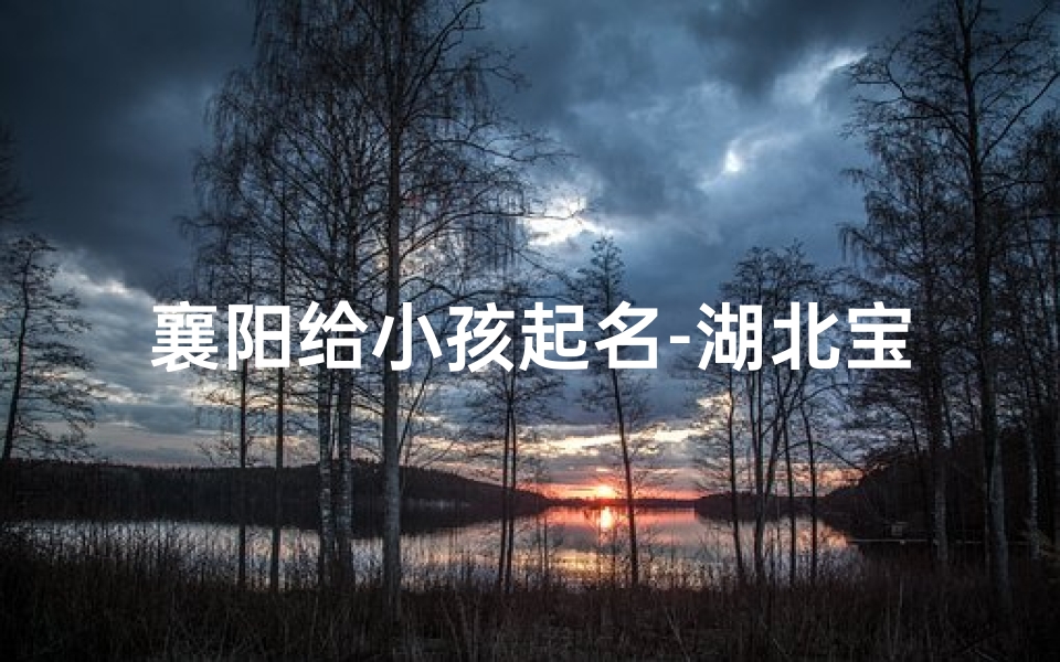 襄阳给小孩起名-湖北宝宝起名