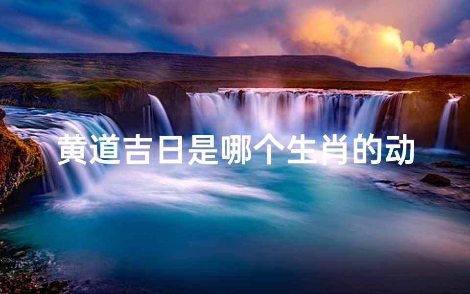黄道吉日是哪个生肖的动物—黄道吉日生肖:金猪迎福,好运连连
