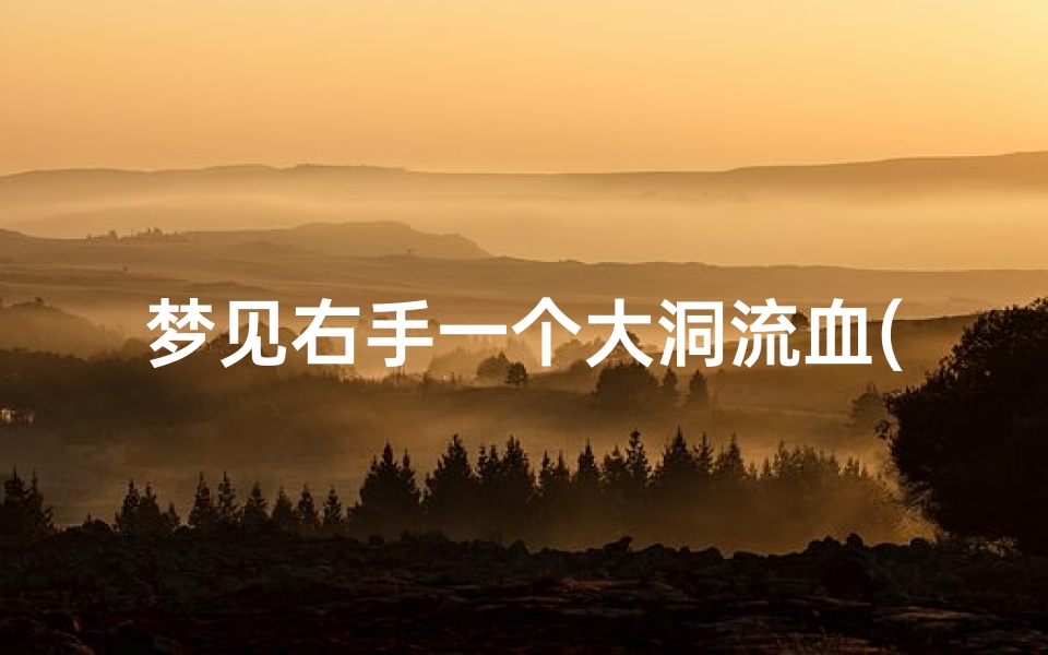 梦见右手一个大洞流血(梦见右手一个大洞流血了)