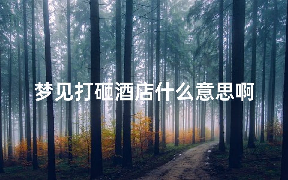 梦见打砸酒店什么意思啊-梦见在酒店打架