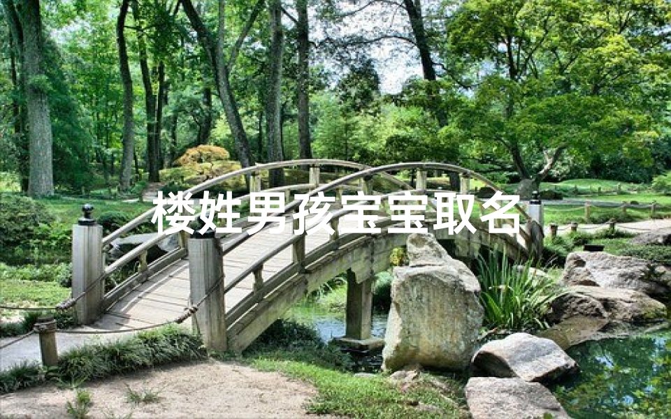 楼姓男孩宝宝取名