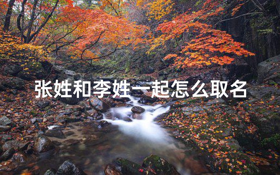 张姓和李姓一起怎么取名、龙年宝宝李张联姻,吉祥如意新篇章
