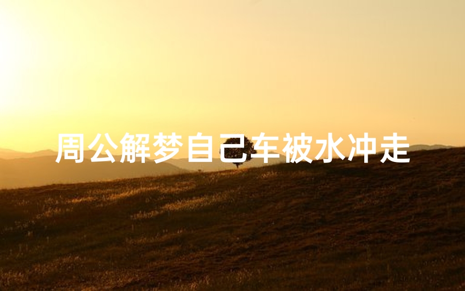 周公解梦自己车被水冲走(梦见水把车冲走了的预兆)