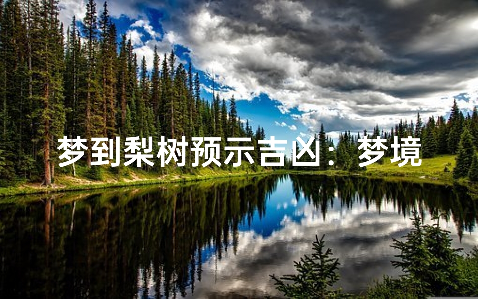 梦到梨树预示吉凶:梦境解析揭秘
