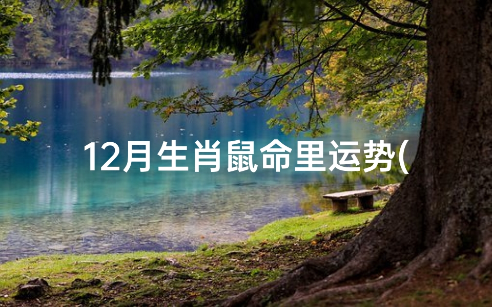 12月生肖鼠命里运势(鼠年运势揭秘:12生肖鼠命里吉凶详析)