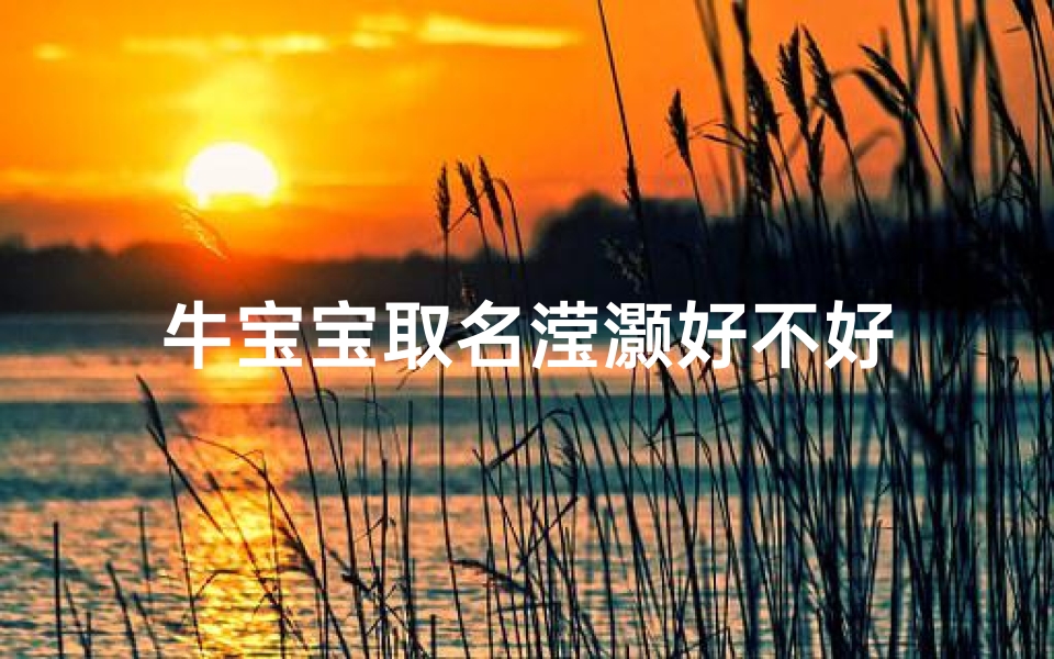 牛宝宝取名滢灏好不好