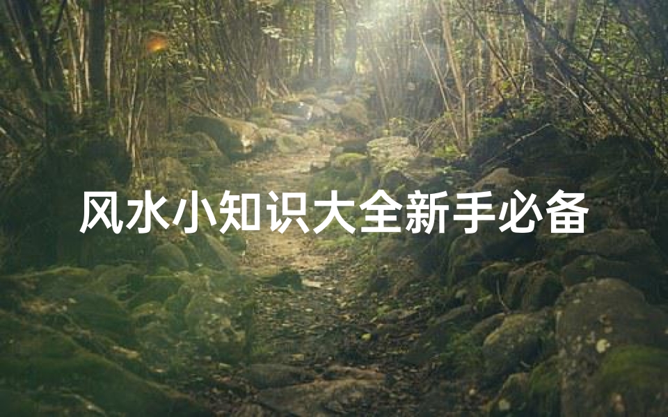 风水小知识大全新手必备(占卜之书,八字算命书)