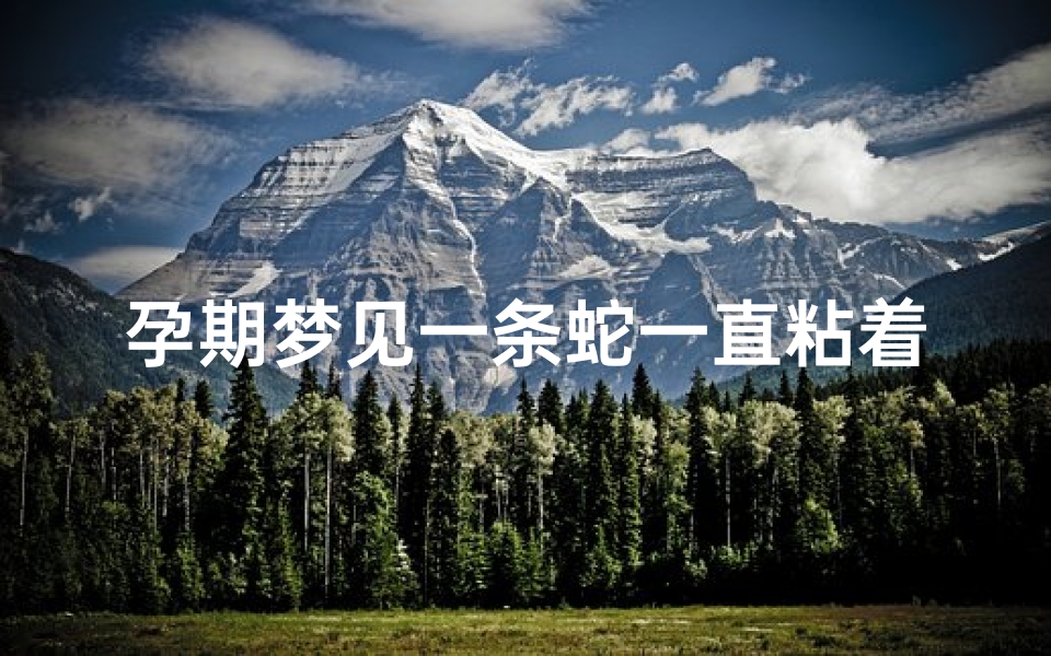 孕期梦见一条蛇一直粘着我不放(孕妇梦见蛇缠身但不咬是什么意思)