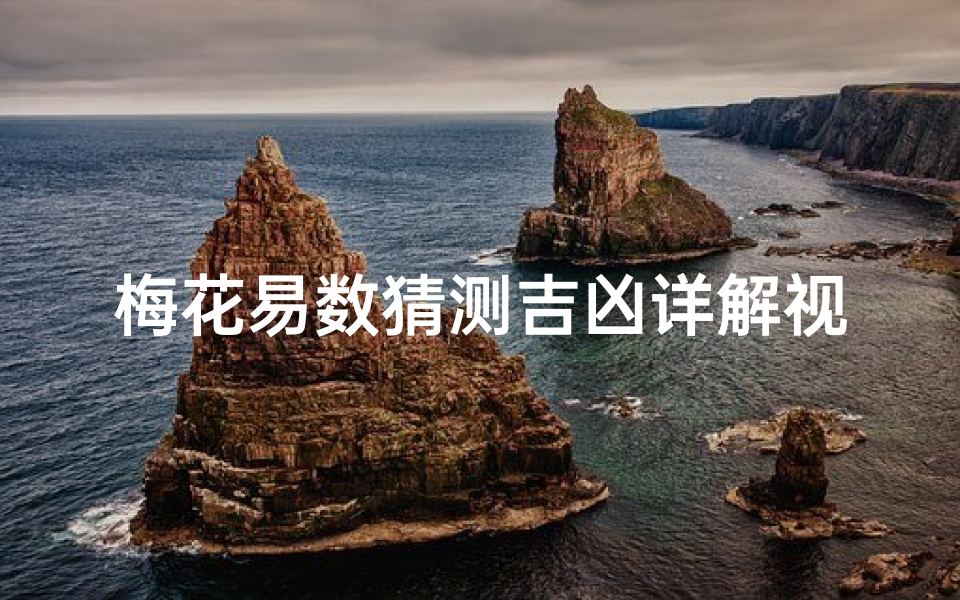 梅花易数猜测吉凶详解视频-梅花易数预测数字思路
